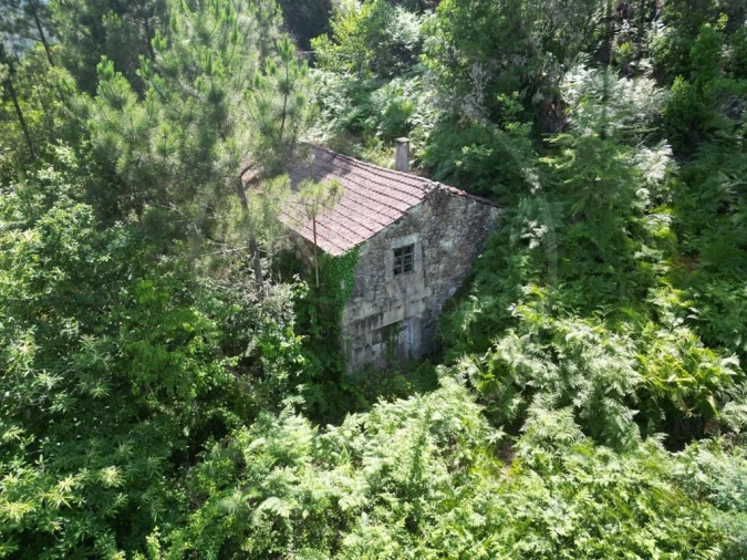 Quinta para Venda em Pinho Foto 15