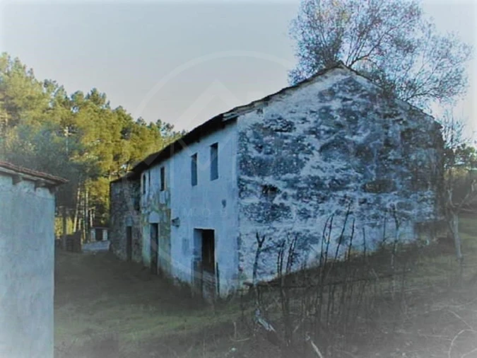 Quinta para Venda em Pinho Foto 16