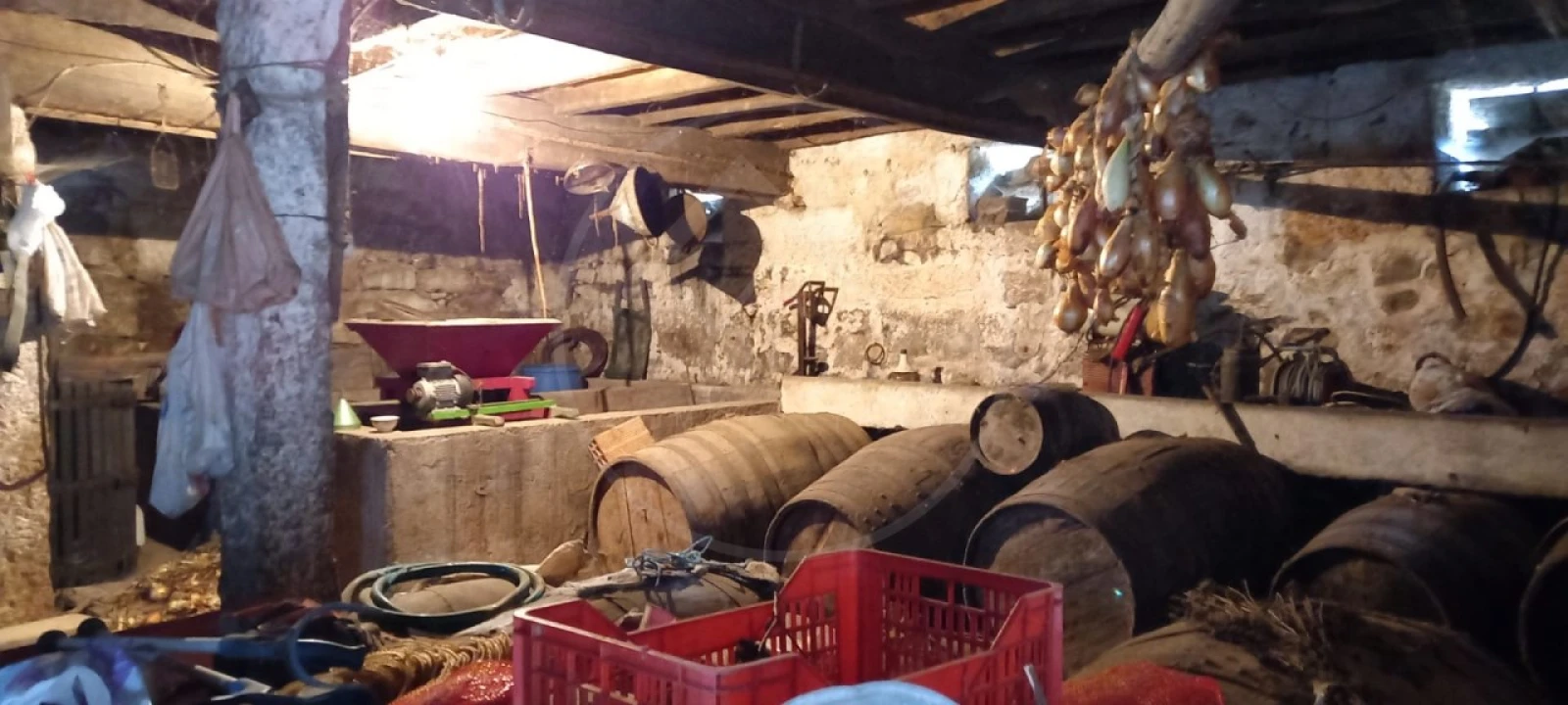 Quinta para Venda em São Gens Foto 4