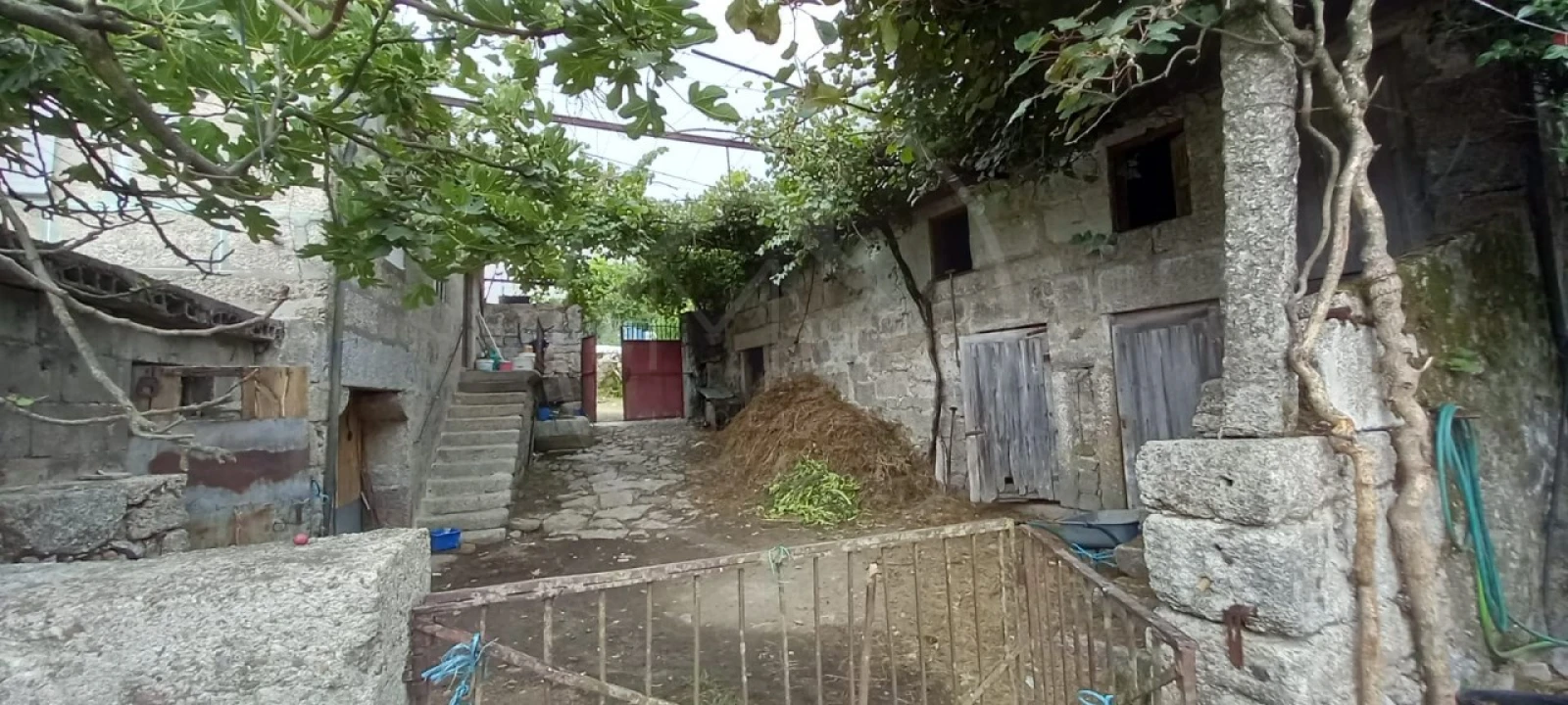 Quinta para Venda em São Gens Foto 5