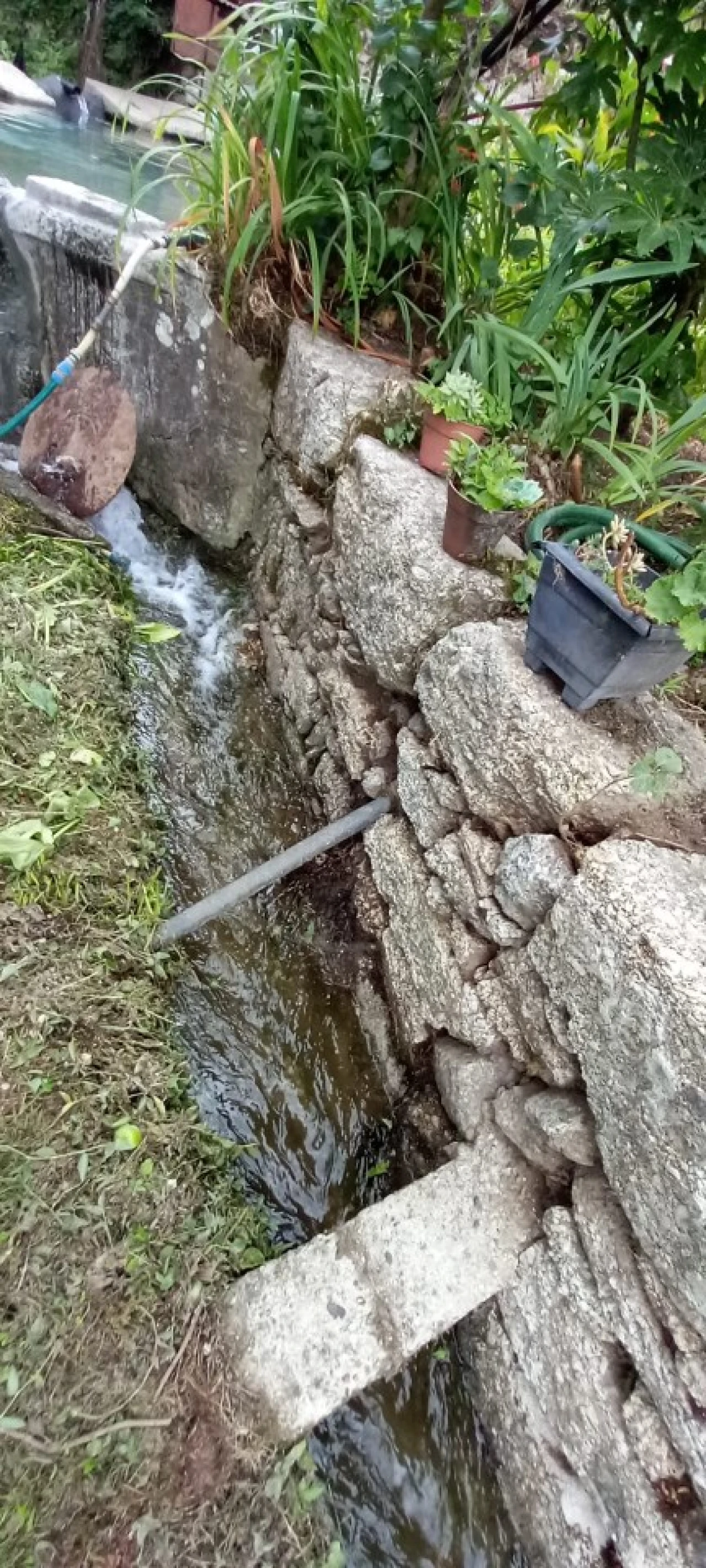 Quinta para Venda em São Gens Foto 11