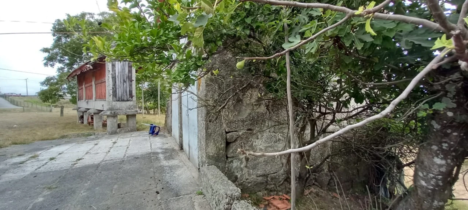 Quinta para Venda em São Gens Foto 16