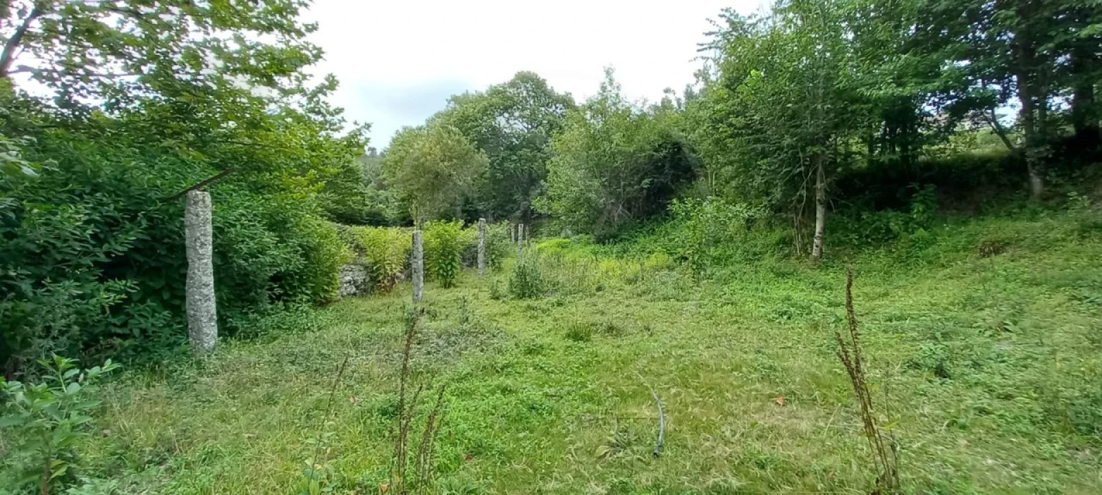 Quinta para Venda em São Gens Foto 22