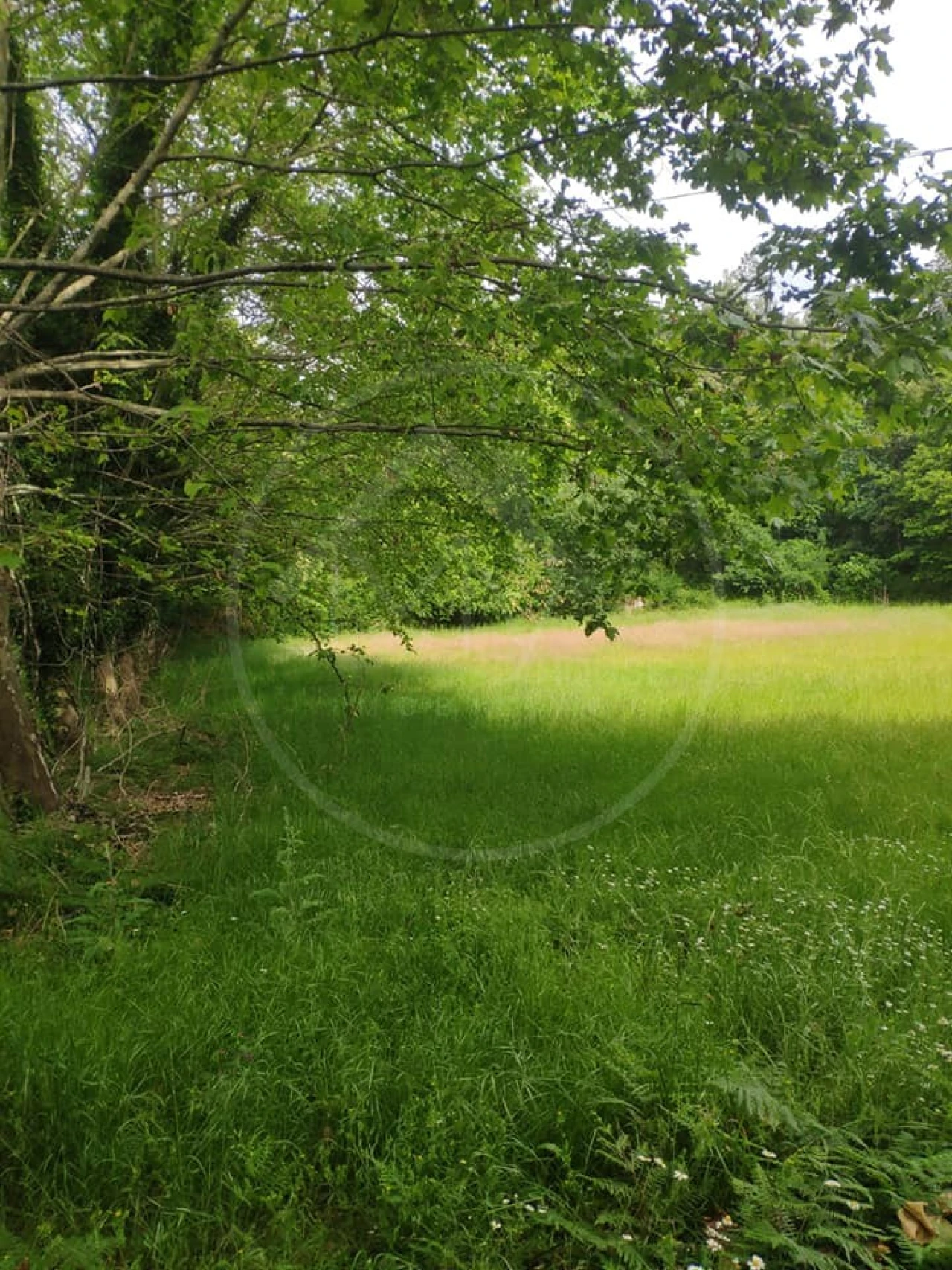 Quinta para Venda em São Gens Foto 26