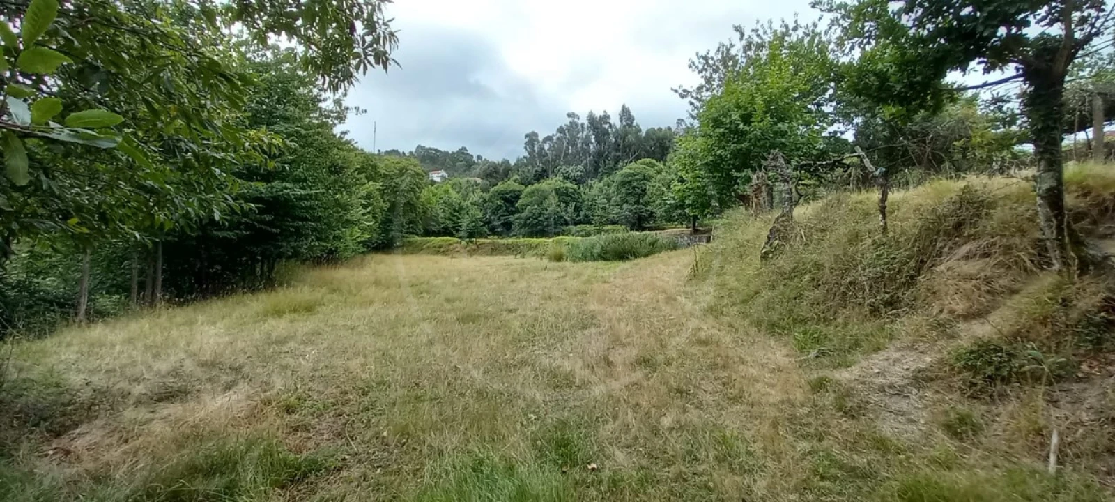 Quinta para Venda em São Gens Foto 32
