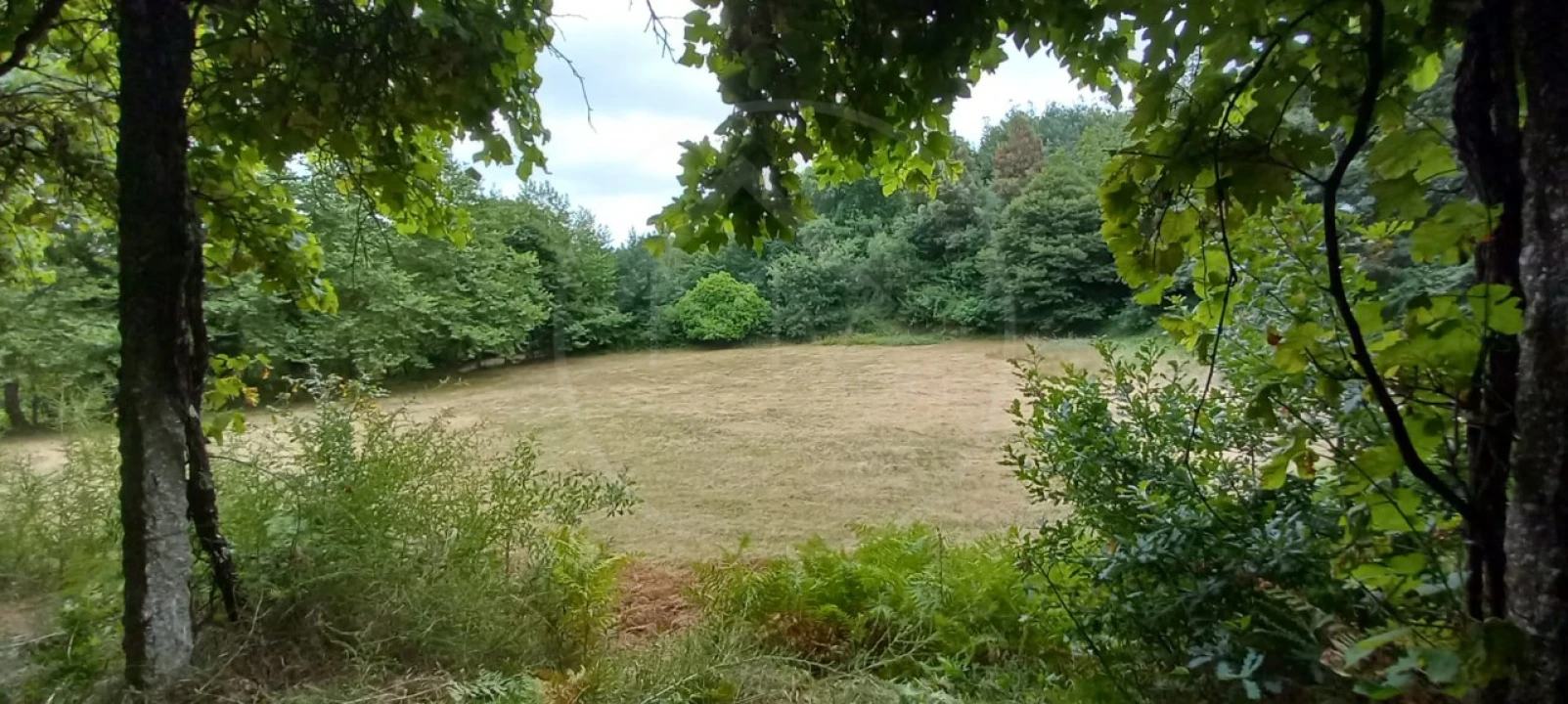 Quinta para Venda em São Gens Foto 35