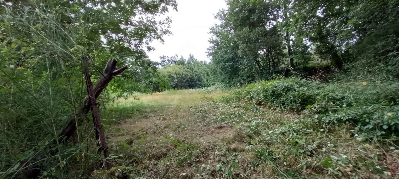 Quinta para Venda em São Gens Foto 42