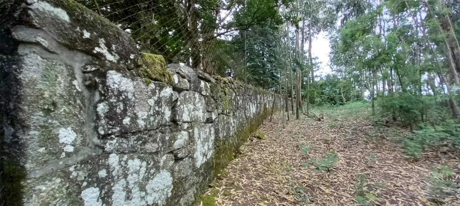 Quinta para Venda em São Gens Foto 49