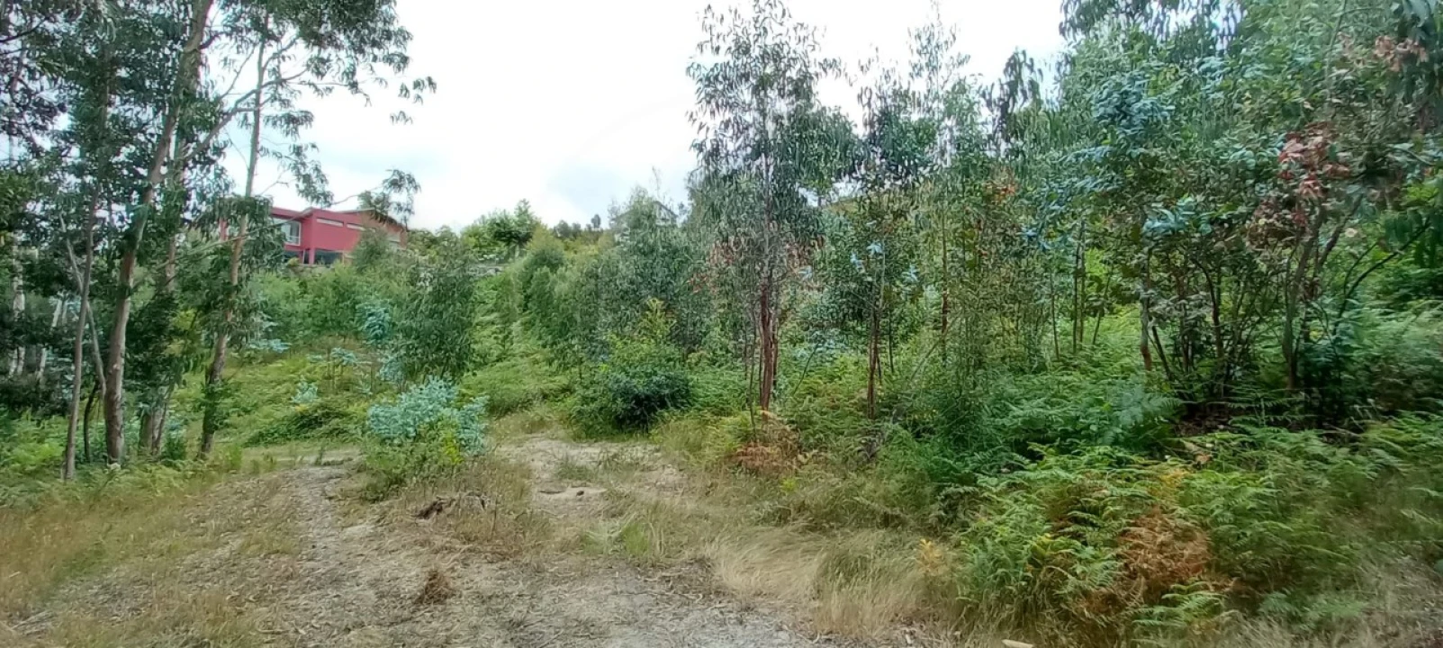 Quinta para Venda em São Gens Foto 51