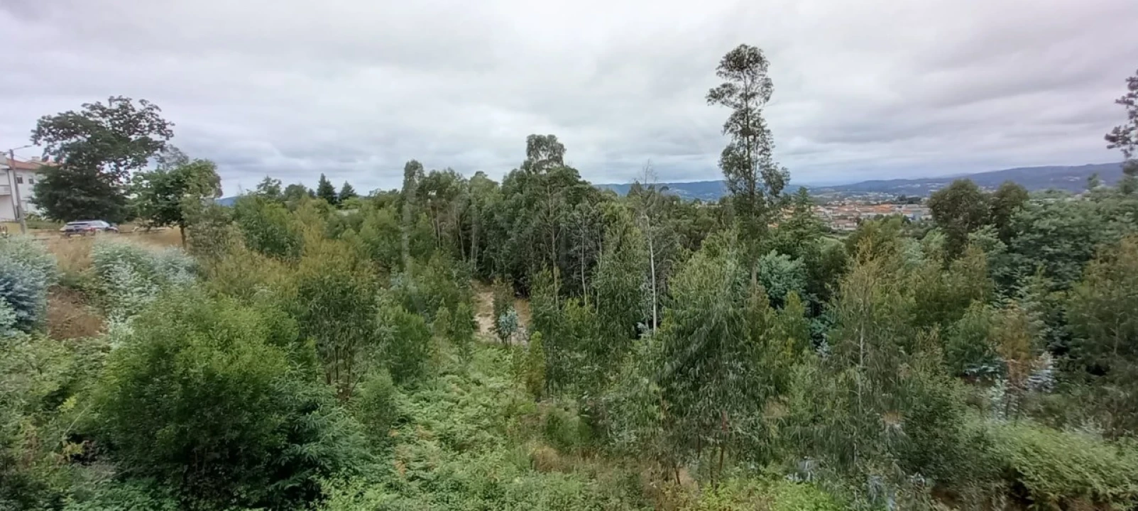 Quinta para Venda em São Gens Foto 52