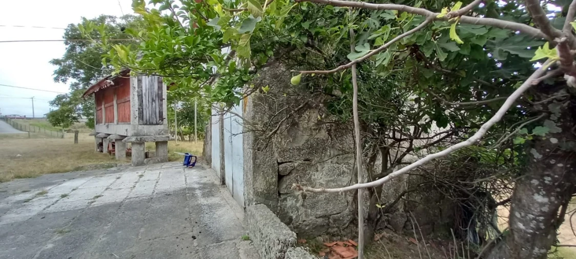 Quinta para Venda em São Gens Foto 16