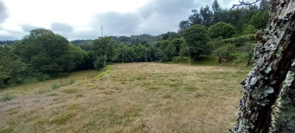 Quinta para Venda em São Gens Foto 18