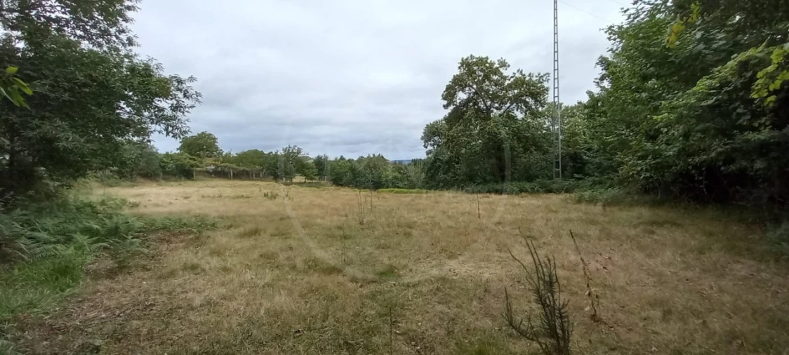 Quinta para Venda em São Gens Foto 19