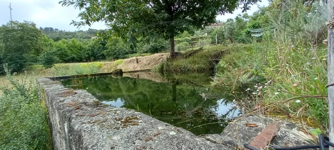 Quinta para Venda em São Gens Foto 25