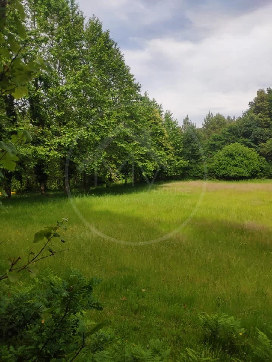 Quinta para Venda em São Gens Foto 27