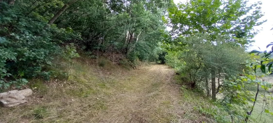 Quinta para Venda em São Gens Foto 30