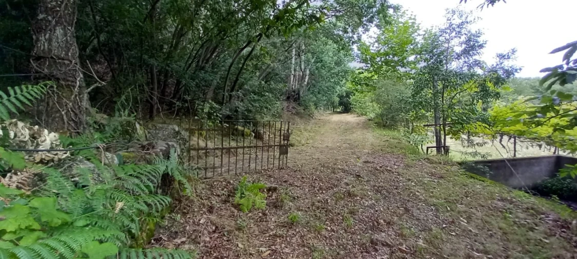 Quinta para Venda em São Gens Foto 31