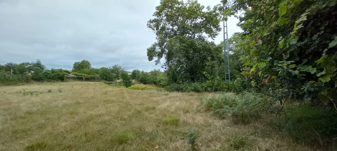 Quinta para Venda em São Gens Foto 33