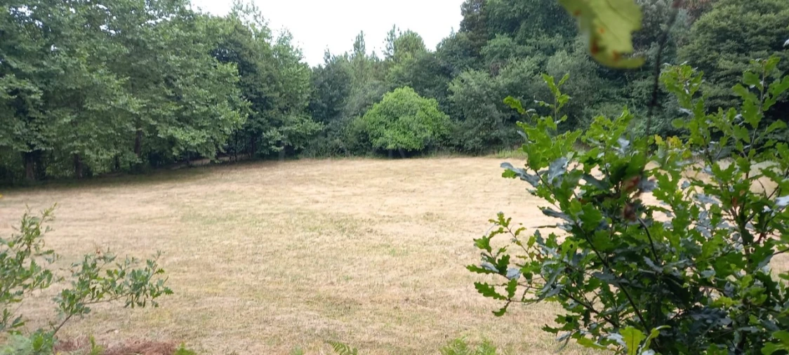 Quinta para Venda em São Gens Foto 34