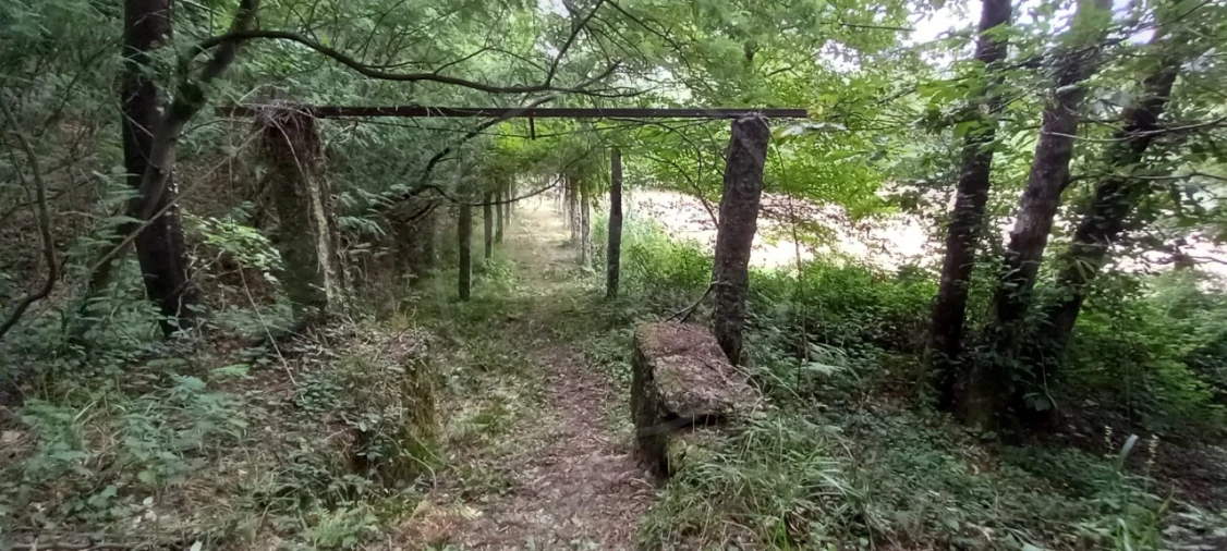 Quinta para Venda em São Gens Foto 38