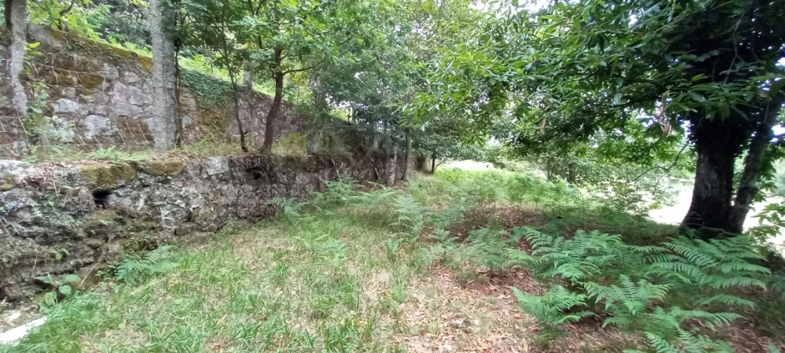 Quinta para Venda em São Gens Foto 40