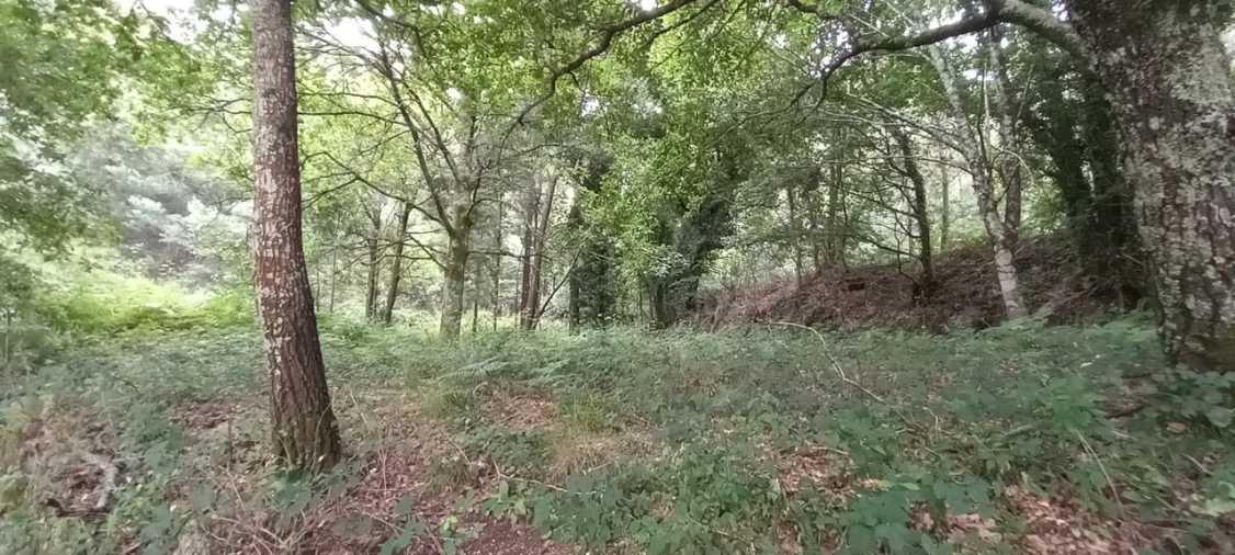 Quinta para Venda em São Gens Foto 43