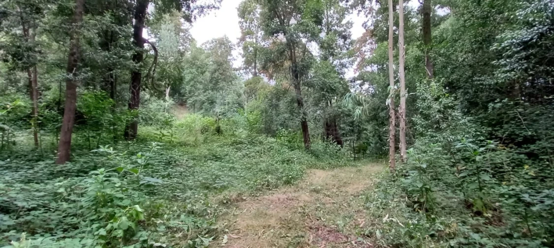 Quinta para Venda em São Gens Foto 45