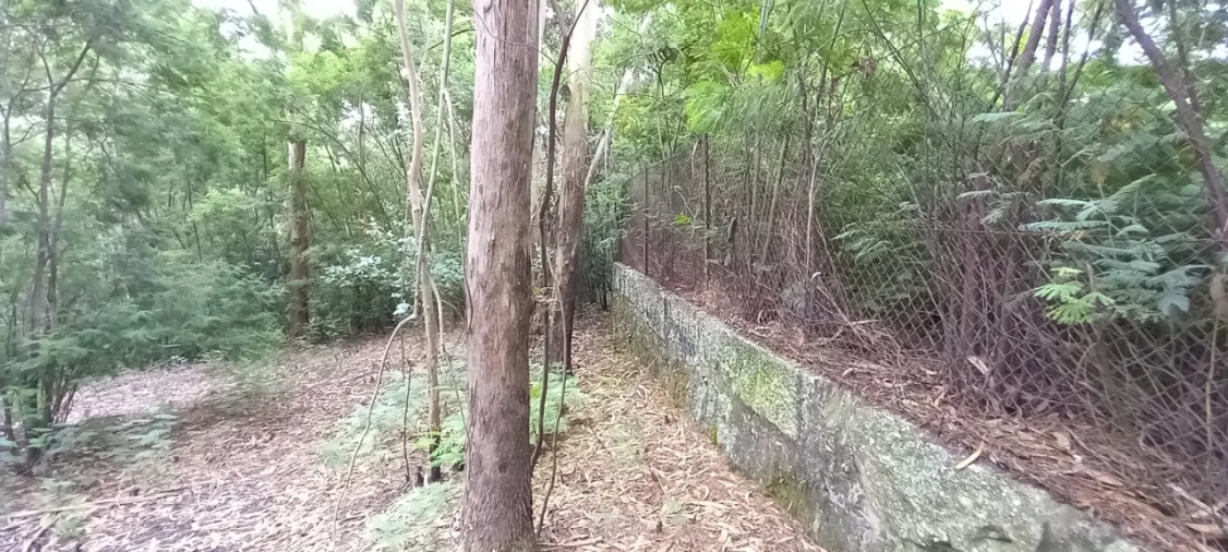 Quinta para Venda em São Gens Foto 48