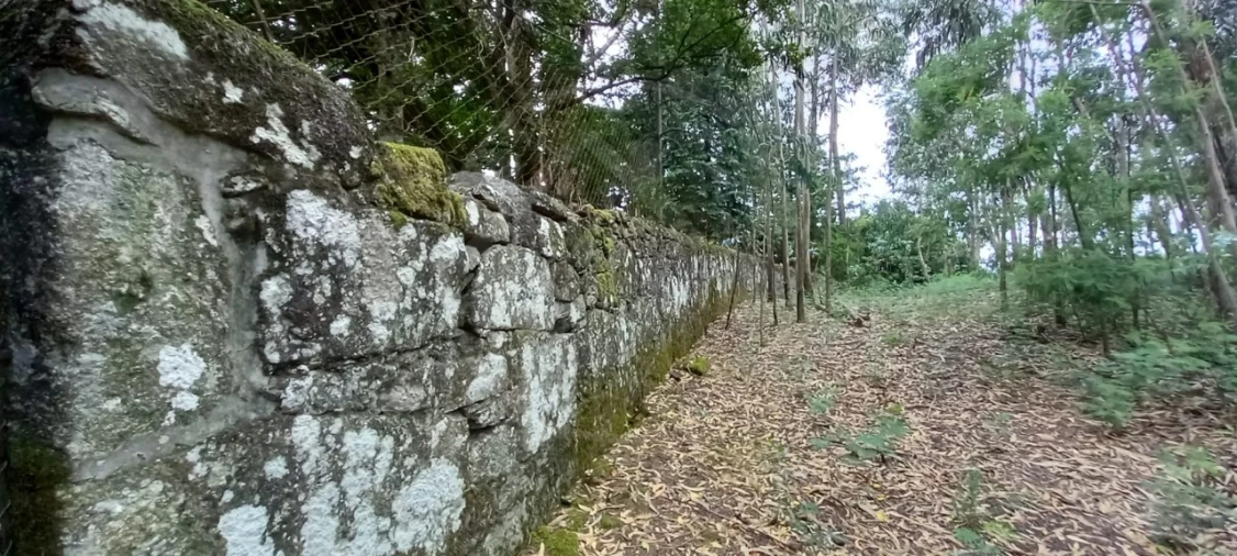 Quinta para Venda em São Gens Foto 49