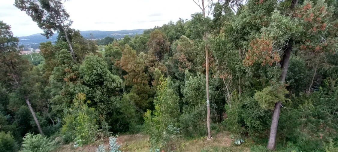 Quinta para Venda em São Gens Foto 50