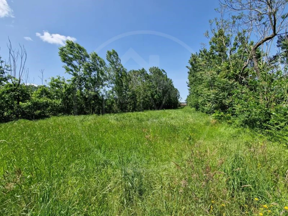 Quinta T3 para Venda em Souto Santa Maria, Souto São Salvador e Gondomar Foto 4