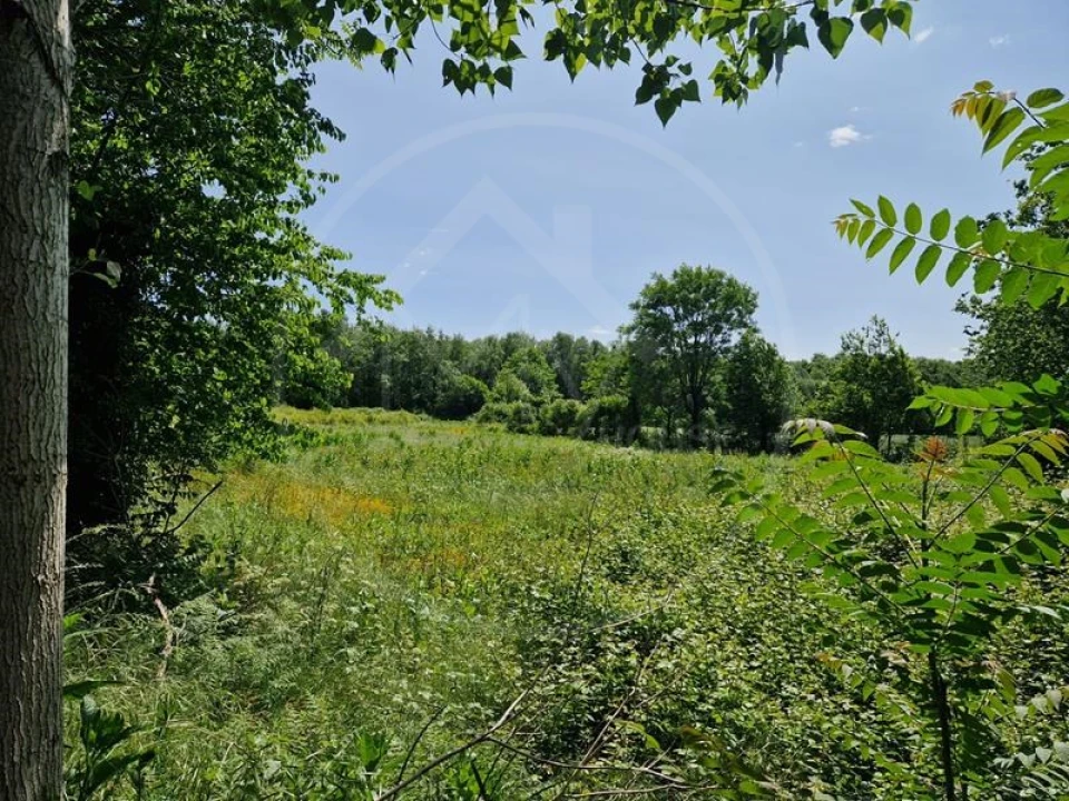 Quinta T3 para Venda em Souto Santa Maria, Souto São Salvador e Gondomar Foto 8