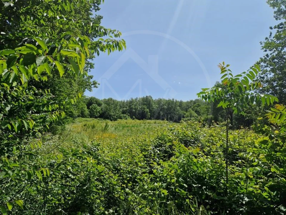 Quinta T3 para Venda em Souto Santa Maria, Souto São Salvador e Gondomar Foto 10