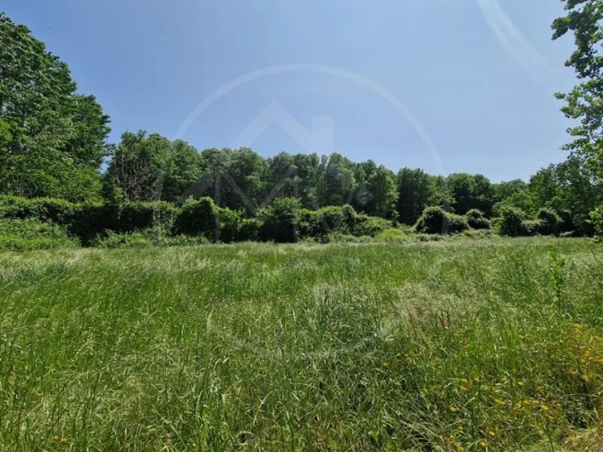 Quinta T3 para Venda em Souto Santa Maria, Souto São Salvador e Gondomar Foto 6