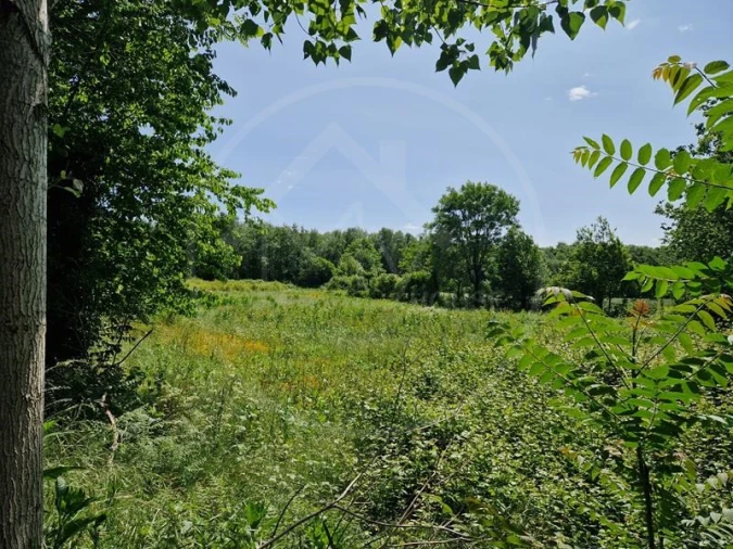 Quinta T3 para Venda em Souto Santa Maria, Souto São Salvador e Gondomar Foto 8