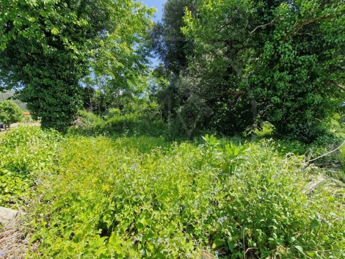 Quinta T3 para Venda em Souto Santa Maria, Souto São Salvador e Gondomar Foto 9