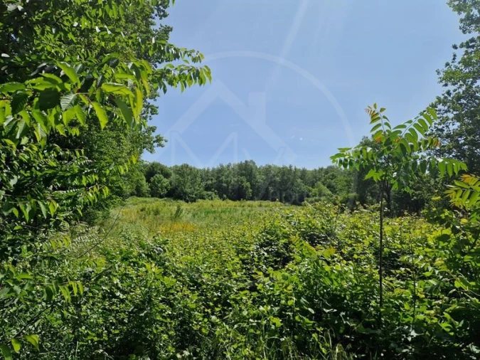 Quinta T3 para Venda em Souto Santa Maria, Souto São Salvador e Gondomar Foto 10