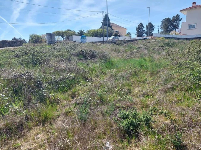 Terreno para Venda em Sabrosa Foto 1