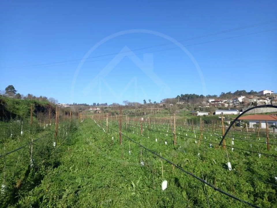 Moradia T3 para Venda em Pedreira, Rande e Sernande Foto 10