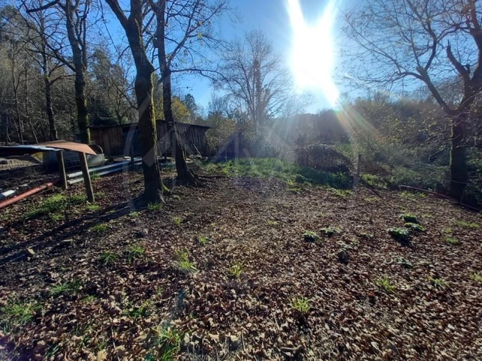 Terreno para Venda em Entre Ambos-Os-Rios, Ermida e Germil Foto 19