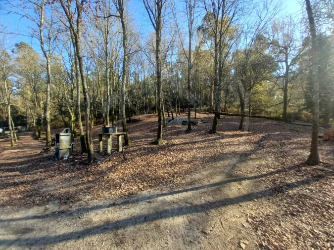Terreno para Venda em Entre Ambos-Os-Rios, Ermida e Germil Foto 3