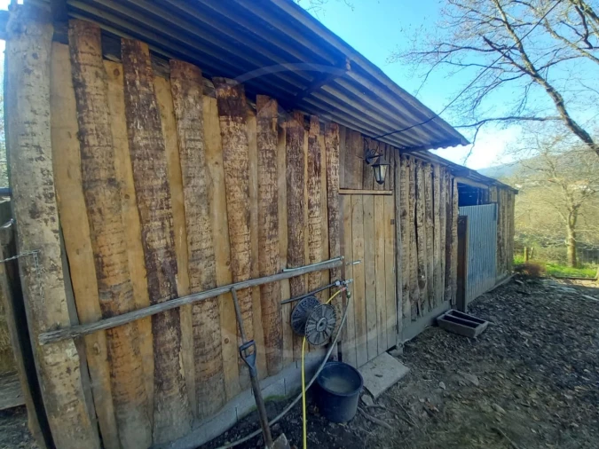 Terreno para Venda em Entre Ambos-Os-Rios, Ermida e Germil Foto 13