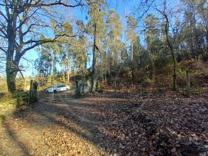 Terreno para Venda em Entre Ambos-Os-Rios, Ermida e Germil Foto 20