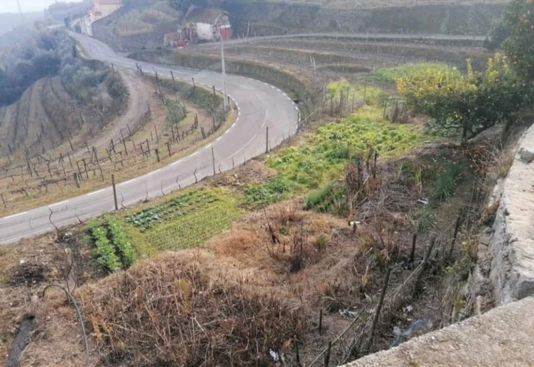 Quinta T6 para Venda em Sever Foto 5