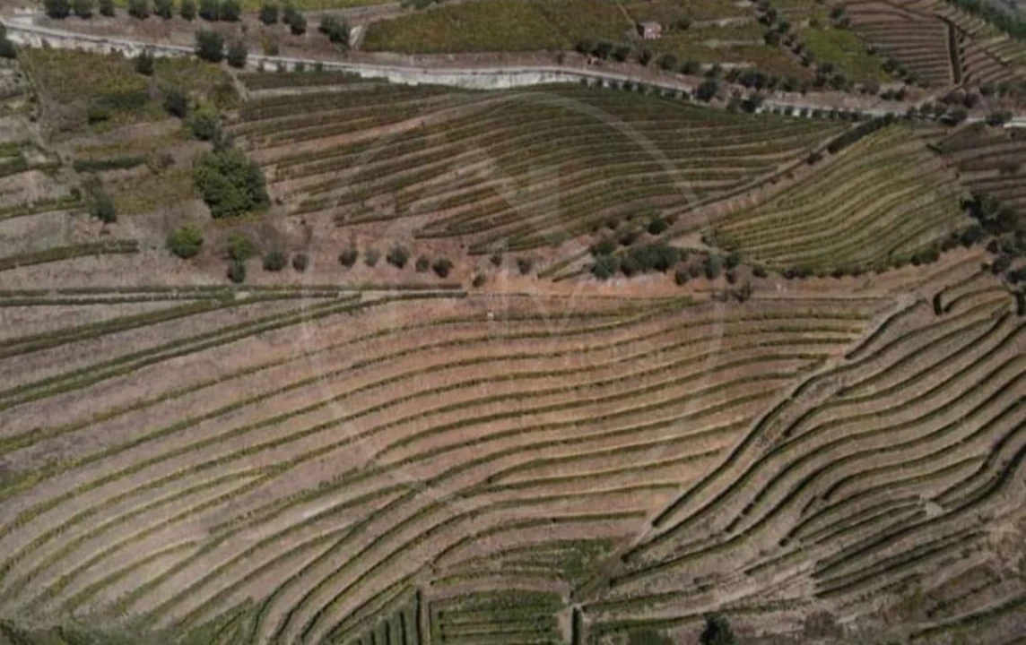 Quinta T6 para Venda em Sever Foto 7