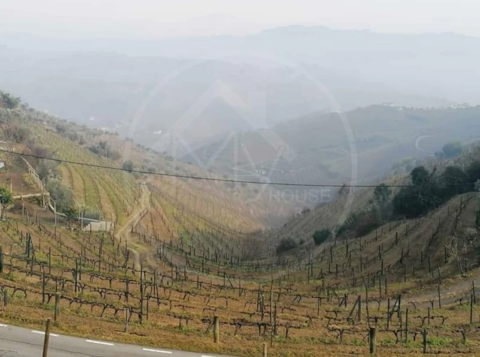 Quinta T6 para Venda em Sever Foto 8