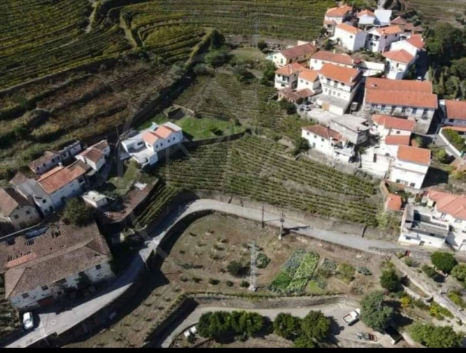 Quinta T6 para Venda em Sever