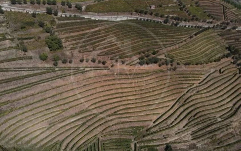 Quinta T6 para Venda em Sever Foto 7