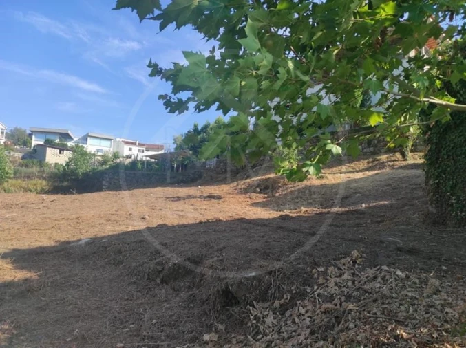 Terreno para Venda em Mondim de Basto Foto 6