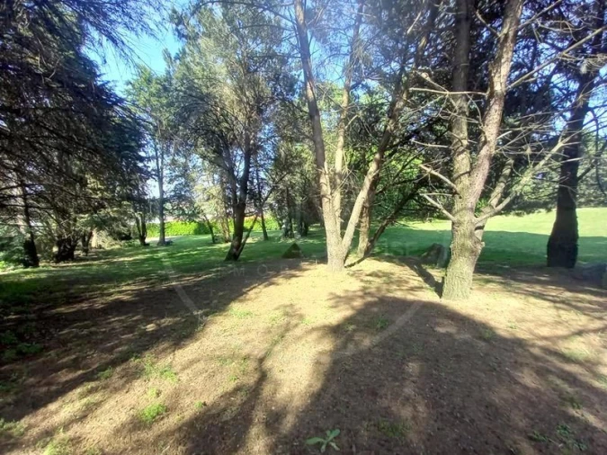 Moradia T5 para Venda em Serzedelo Foto 20